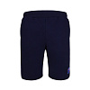 Men's shorts SKA