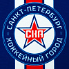 Pennant 18х12 cm