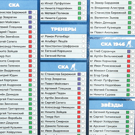 Альбом для карточек СКА со вкладышем