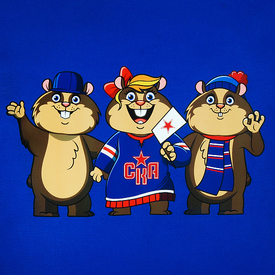Подушка декоративная СКА