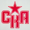 Флаг СКА 25х15