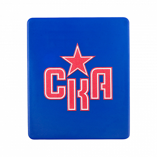 Пятнашки СКА (вид1)