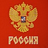 Реплика детского домашнего свитера Сборной России