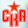 Фан-шапка Арлекин
