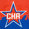 Флаг СКА 25х15 арт.F2627-02