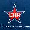 Вымпел 18*12, бахрома синяя арт.V2627-04