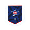 Pennant 16х21 cm