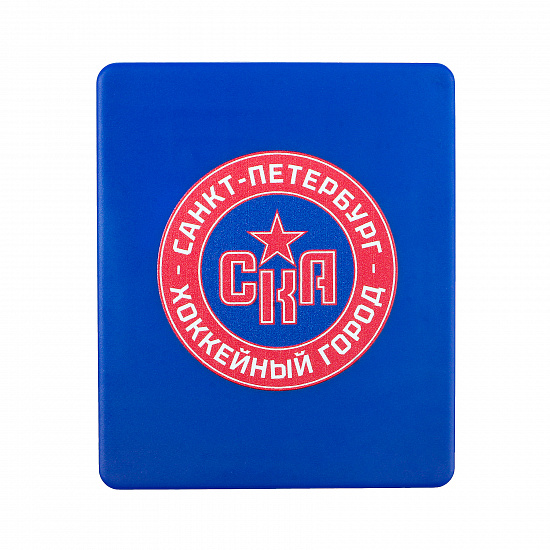 Пятнашки СКА (вид2)