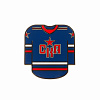 Магнит металлический СКА